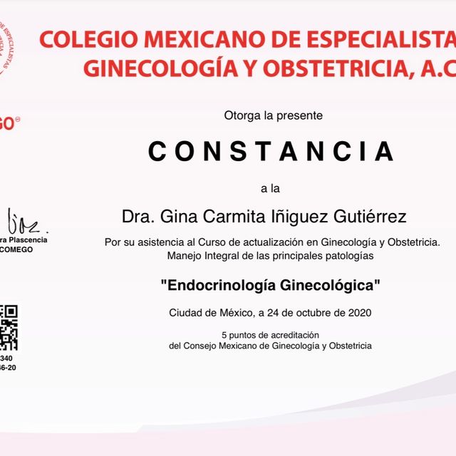 Ampliar imagen: certificate 4