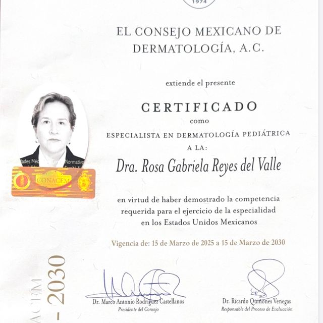 Ampliar imagen: certificate 2