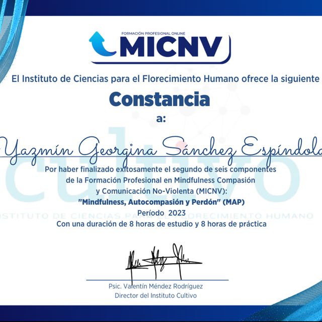 Ampliar imagen: certificate 3