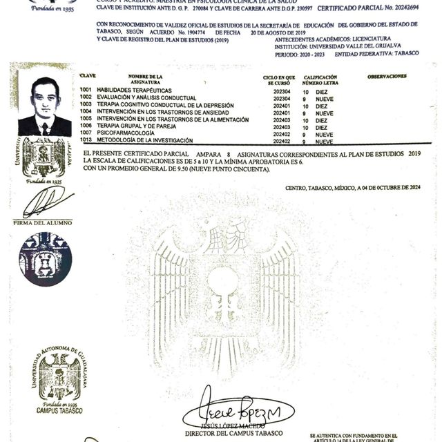 Ampliar imagen: certificate 1