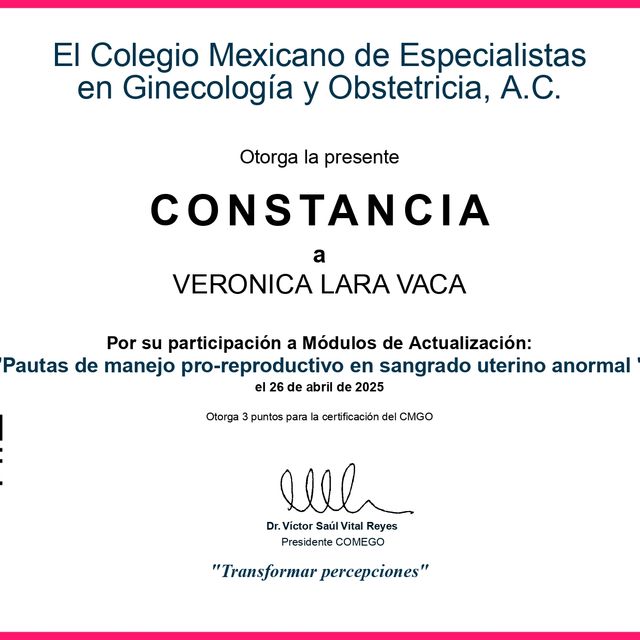 Ampliar imagen: certificate 31