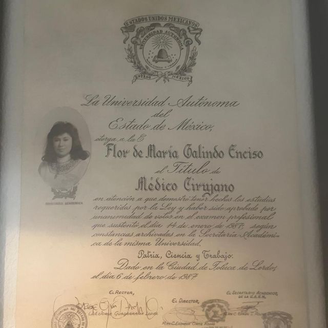 Ampliar imagen: certificate 2