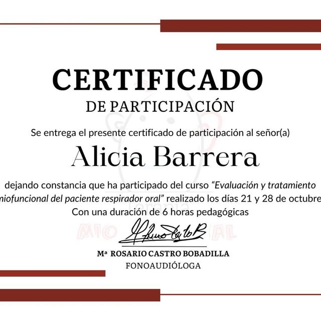 Ampliar imagen: certificate 2