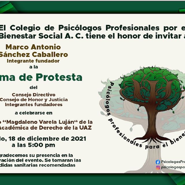 Ampliar imagen: certificate 11