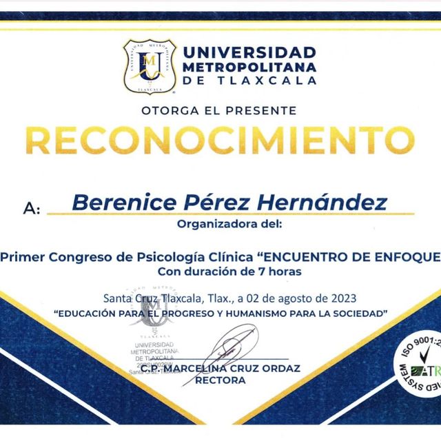Ampliar imagen: certificate 4
