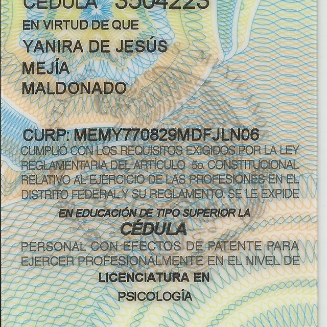 Ampliar imagen: certificate 2