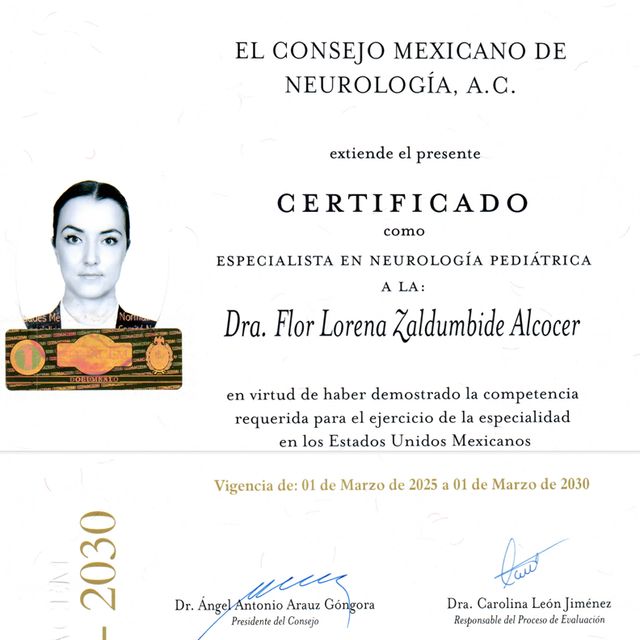Ampliar imagen: certificate 1