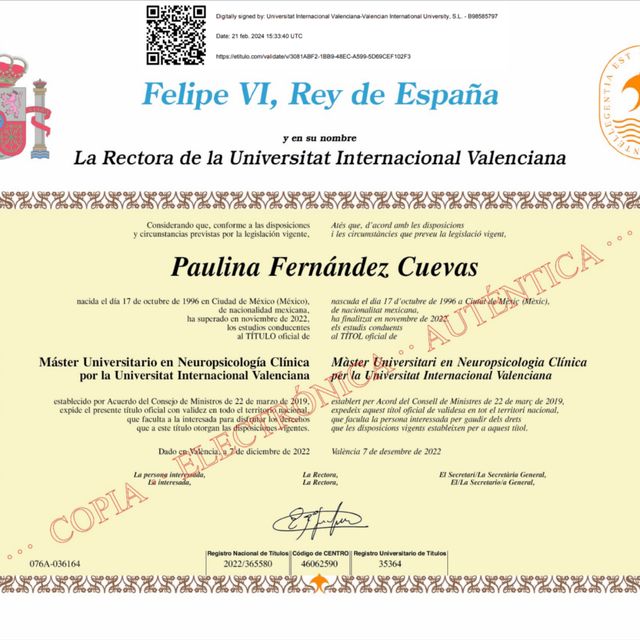 Ampliar imagen: certificate 1