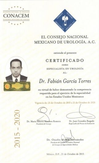Ampliar imagen: certificate 2