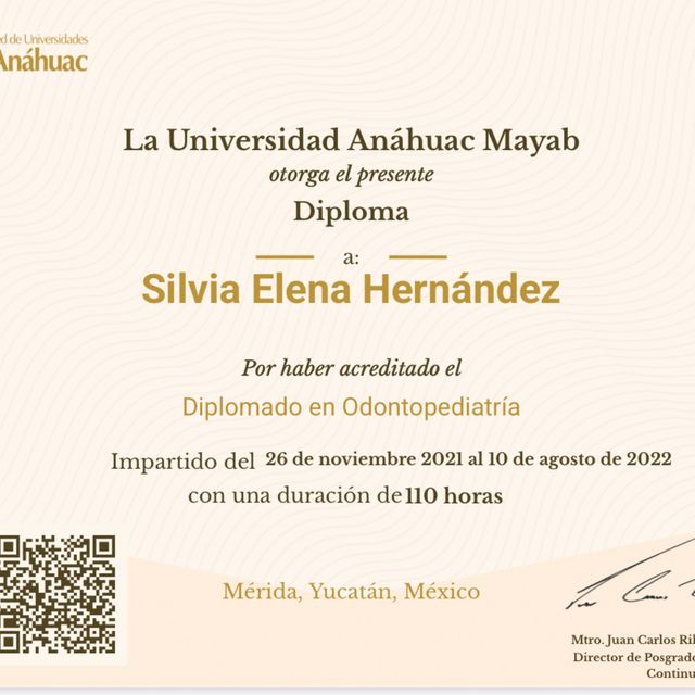 Ampliar imagen: certificate 3
