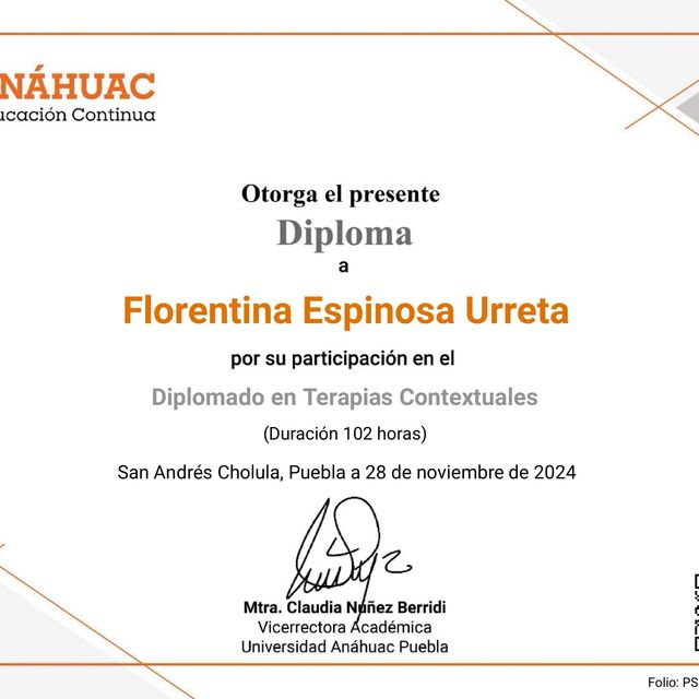 Ampliar imagen: certificate 2