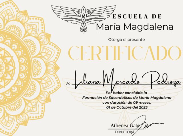 Ampliar imagen: certificate 13
