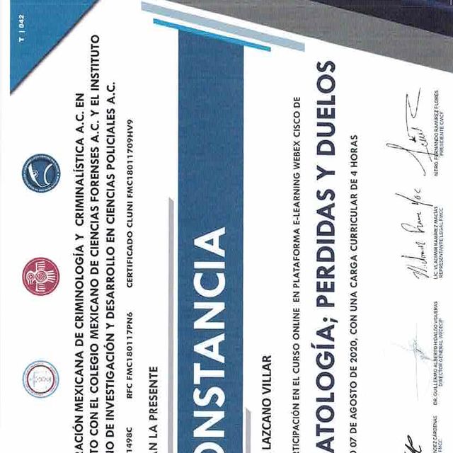 Ampliar imagen: certificate 7