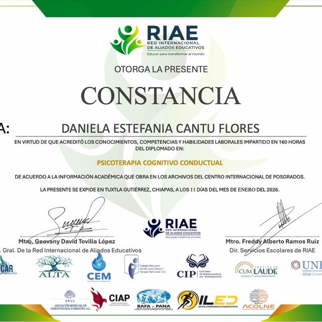 Ampliar imagen: certificate 7