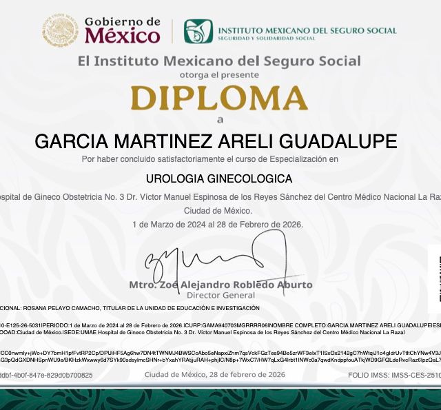 Ampliar imagen: certificate 4