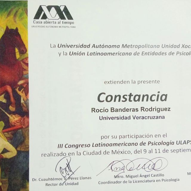 Ampliar imagen: certificate 7