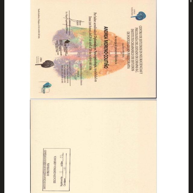 Ampliar imagen: certificate 9