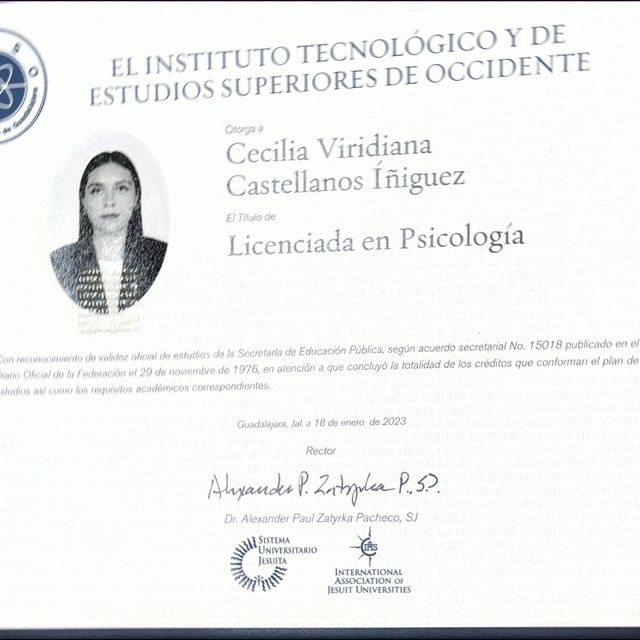 Ampliar imagen: certificate 1