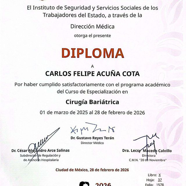 Ampliar imagen: certificate 2