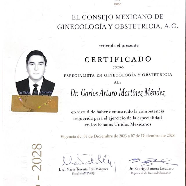 Ampliar imagen: certificate 1