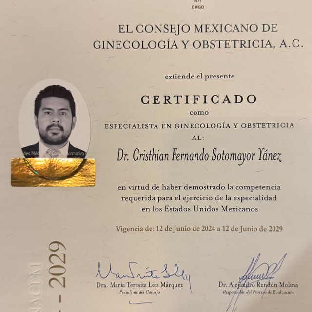 Ampliar imagen: certificate 3