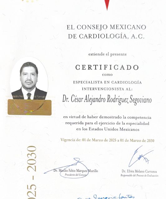 Ampliar imagen: certificate 4