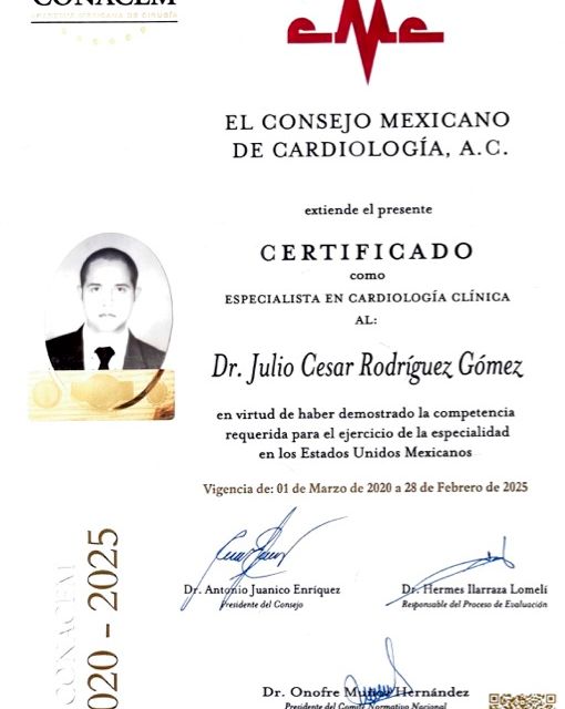 Ampliar imagen: certificate 1
