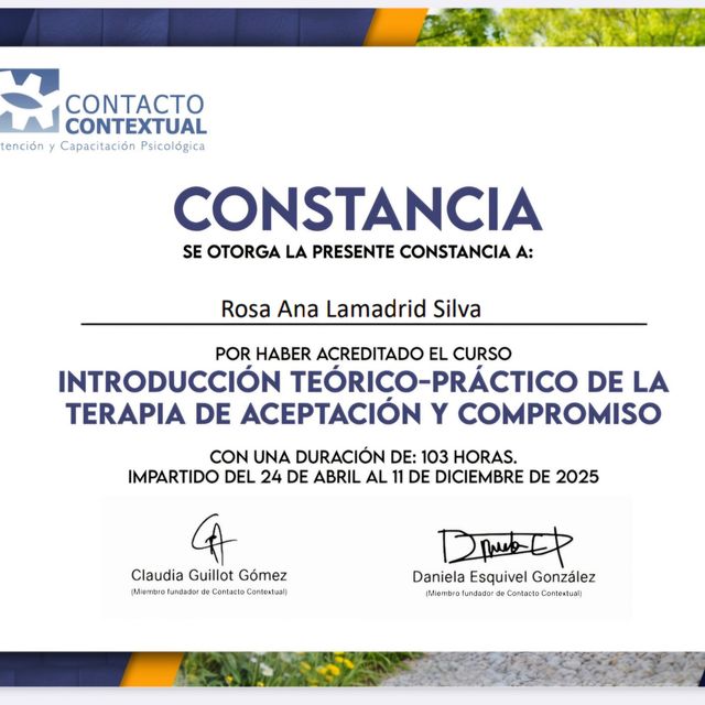 Ampliar imagen: certificate 2
