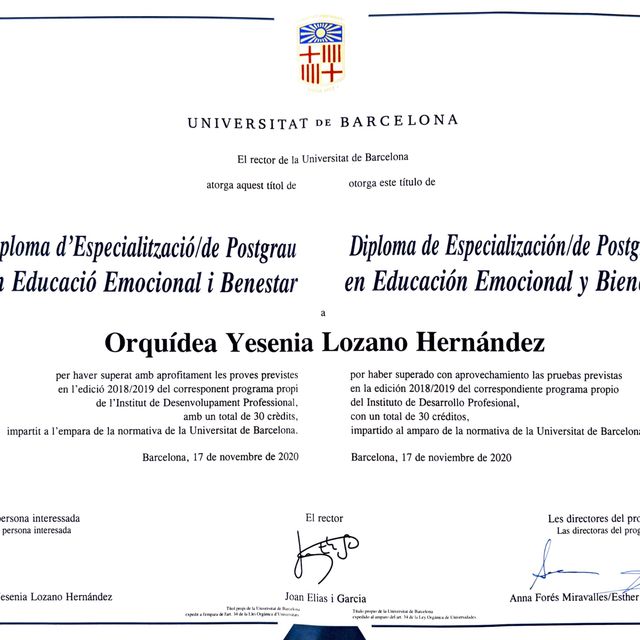 Ampliar imagen: certificate 4