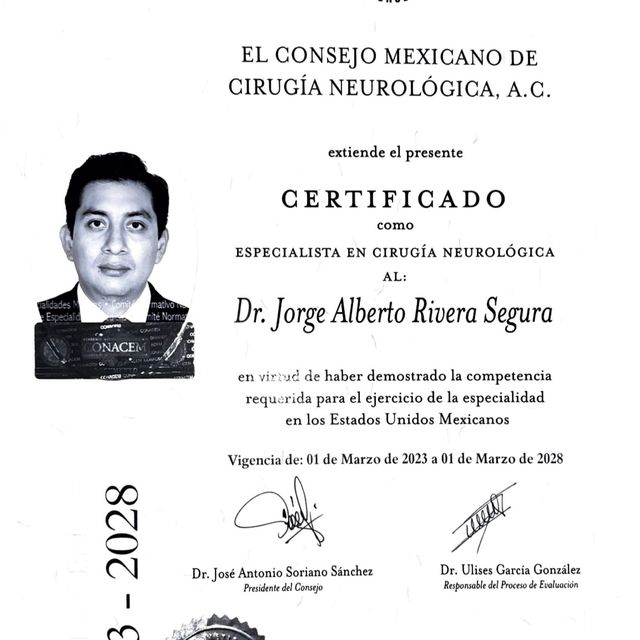 Ampliar imagen: certificate 2
