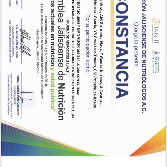 Ampliar imagen: certificate 10