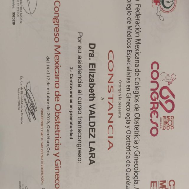 Ampliar imagen: certificate 15