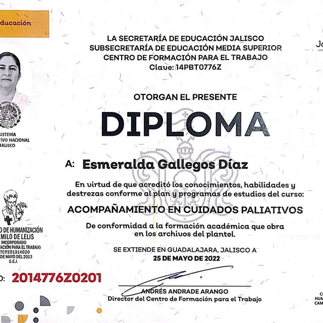 Ampliar imagen: certificate 4