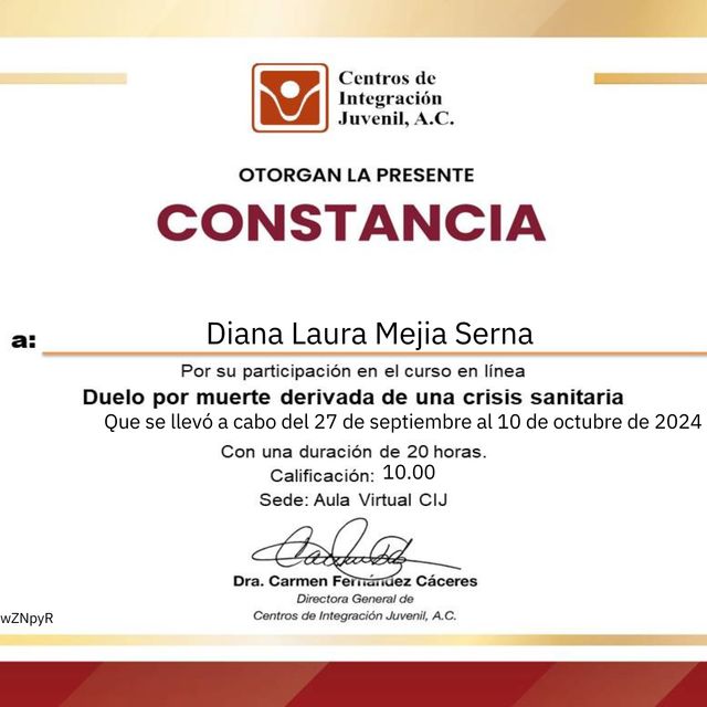 Ampliar imagen: certificate 3