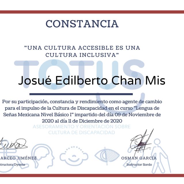 Ampliar imagen: certificate 12
