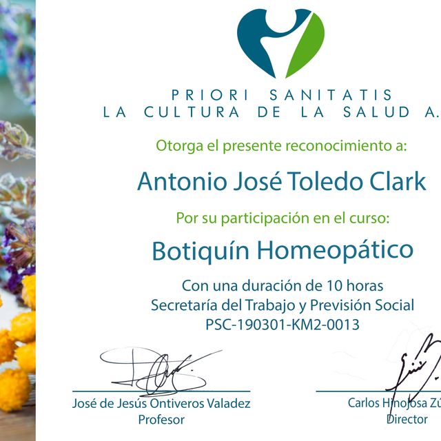 Ampliar imagen: certificate 1