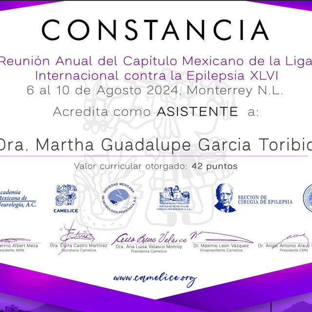 Ampliar imagen: certificate 5
