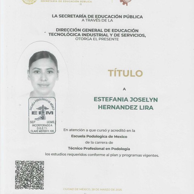 Ampliar imagen: certificate 1