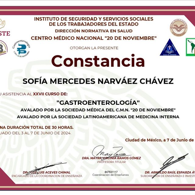 Ampliar imagen: certificate 2