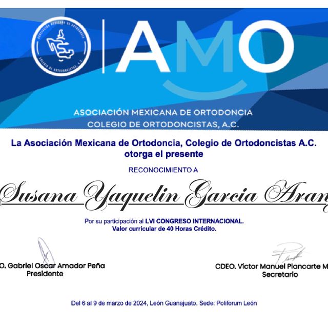 Ampliar imagen: certificate 2
