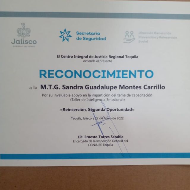 Ampliar imagen: certificate 5