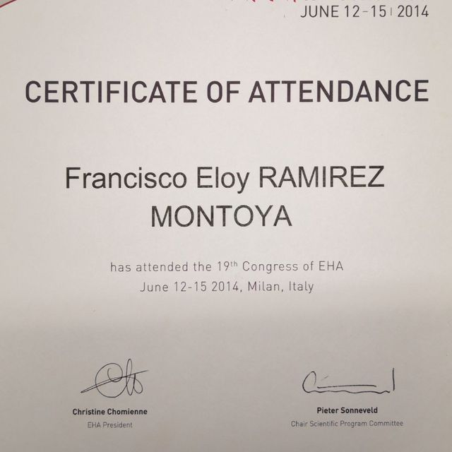 Ampliar imagen: certificate 10