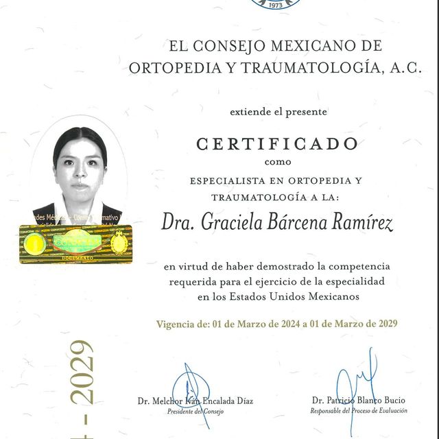 Ampliar imagen: certificate 4