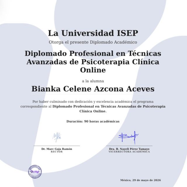 Ampliar imagen: certificate 43