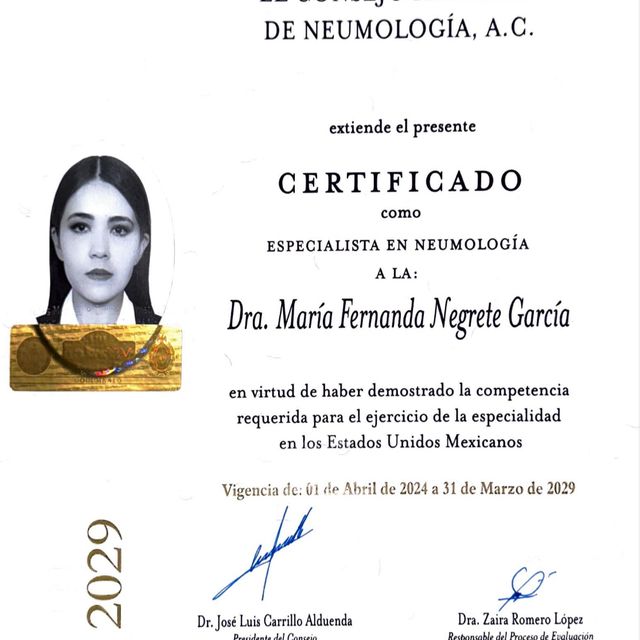 Ampliar imagen: certificate 4