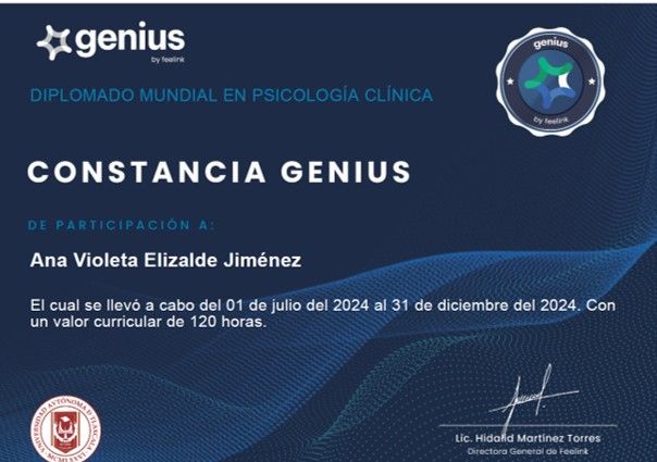 Ampliar imagen: certificate 10