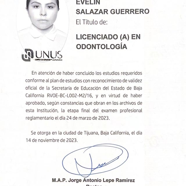 Ampliar imagen: certificate 4