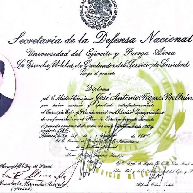Ampliar imagen: certificate 5