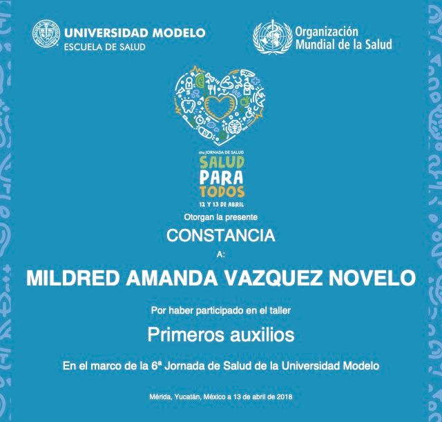 Ampliar imagen: certificate 10