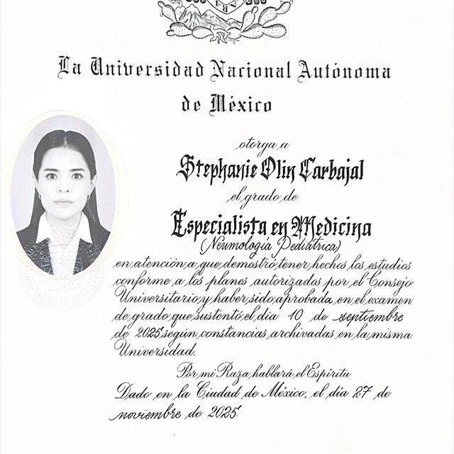 Ampliar imagen: certificate 4
